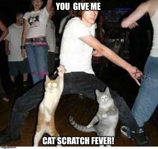 Funny cats  | YOU  GIVE ME; CAT SCRATCH FEVER! | image tagged in funny cat memes | made w/ Imgflip meme maker
