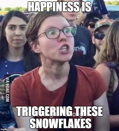 Snowflake | HAPPINESS IS; TRIGGERING THESE SNOWFLAKES | image tagged in happiness is | made w/ Imgflip meme maker