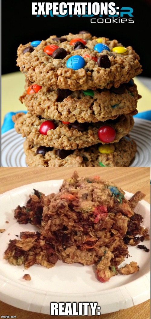 EXPECTATIONS:; REALITY: | image tagged in monster cookies | made w/ Imgflip meme maker