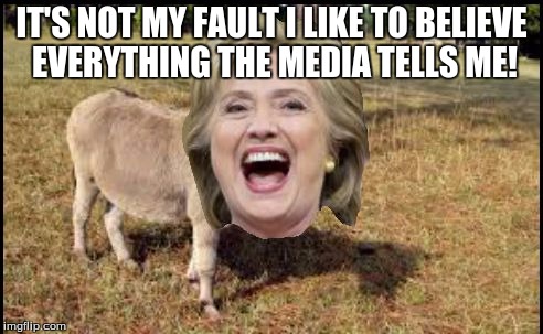 Hillary Clinton The Donkey | IT'S NOT MY FAULT I LIKE TO BELIEVE EVERYTHING THE MEDIA TELLS ME! | image tagged in hillary clinton the donkey | made w/ Imgflip meme maker