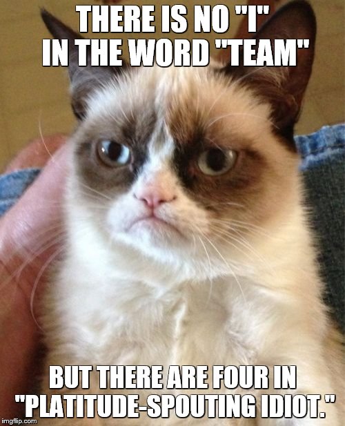 Grumpy Cat | THERE IS NO "I" IN THE WORD "TEAM"; BUT THERE ARE FOUR IN "PLATITUDE-SPOUTING IDIOT." | image tagged in memes,grumpy cat | made w/ Imgflip meme maker