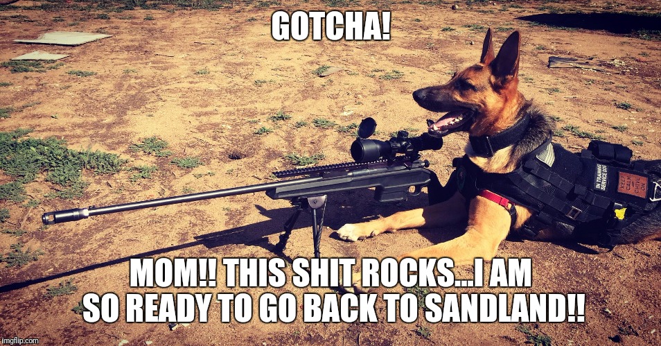 Sniper Dog | GOTCHA! MOM!! THIS SHIT ROCKS...I AM SO READY TO GO BACK TO SANDLAND!! | image tagged in sniper dog | made w/ Imgflip meme maker