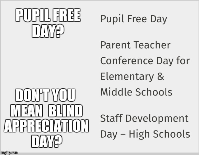 Pupil Free Day | PUPIL FREE DAY? DON'T YOU MEAN
 BLIND APPRECIATION DAY? | image tagged in funny,school,blindappreciationday | made w/ Imgflip meme maker