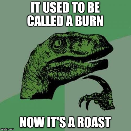 Philosoraptor Meme | IT USED TO BE CALLED A BURN; NOW IT'S A ROAST | image tagged in memes,philosoraptor | made w/ Imgflip meme maker