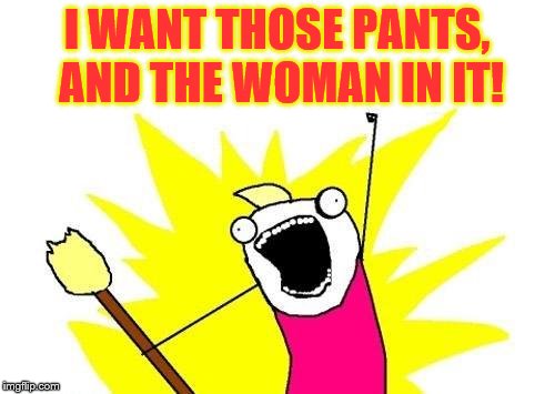 X All The Y Meme | I WANT THOSE PANTS, AND THE WOMAN IN IT! | image tagged in memes,x all the y | made w/ Imgflip meme maker