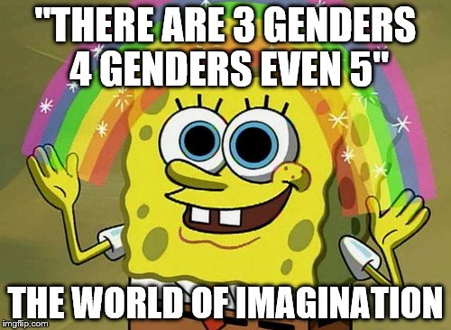 Imagination Spongebob | "THERE ARE 3 GENDERS 4 GENDERS EVEN 5"; THE WORLD OF IMAGINATION | image tagged in memes,imagination spongebob | made w/ Imgflip meme maker