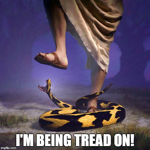 Don't Tread on Snek | I'M BEING TREAD ON! | image tagged in libertarian,party,snake,don't tread on me,gadsden flag,memes | made w/ Imgflip meme maker