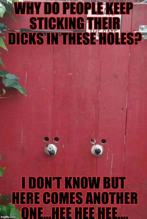 WHY DO PEOPLE KEEP STICKING THEIR DICKS IN THESE HOLES? I DON'T KNOW BUT HERE COMES ANOTHER ONE...HEE HEE HEE.... | image tagged in for glory | made w/ Imgflip meme maker