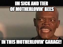 Snakes on a plane | IM SICK AND TIER OF MOTHERLOVIN' BEES; IN THIS MOTHERLOVIN' GARAGE! | image tagged in snakes on a plane | made w/ Imgflip meme maker