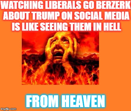 Hell from Heaven |  WATCHING LIBERALS GO BERZERK ABOUT TRUMP ON SOCIAL MEDIA IS LIKE SEEING THEM IN HELL; FROM HEAVEN | image tagged in liberals,schadenfreude | made w/ Imgflip meme maker