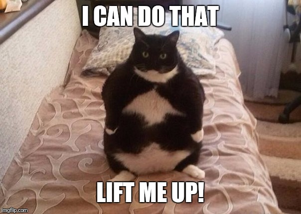 I CAN DO THAT LIFT ME UP! | made w/ Imgflip meme maker