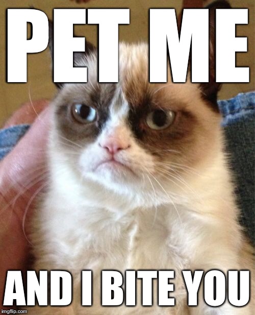 Grumpy Cat Meme | PET ME AND I BITE YOU | image tagged in memes,grumpy cat | made w/ Imgflip meme maker