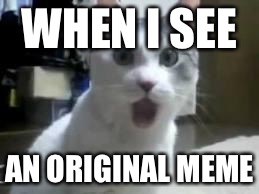 omg cat 2 | WHEN I SEE AN ORIGINAL MEME | image tagged in omg cat 2 | made w/ Imgflip meme maker