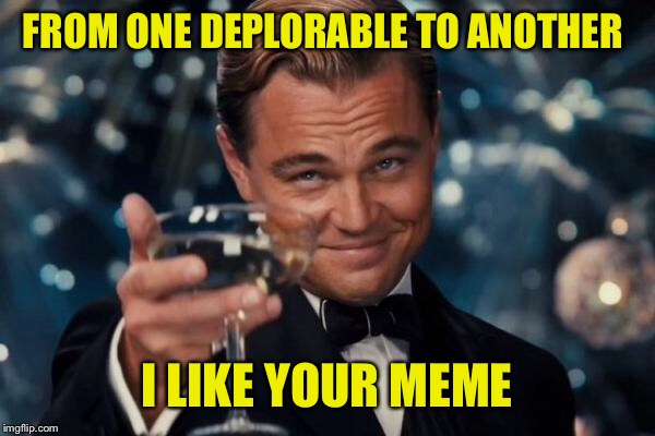 Leonardo Dicaprio Cheers Meme | FROM ONE DEPLORABLE TO ANOTHER I LIKE YOUR MEME | image tagged in memes,leonardo dicaprio cheers | made w/ Imgflip meme maker