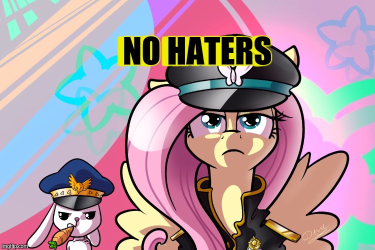 fluttershy and angel | NO HATERS NO HATERS | image tagged in fluttershy and angel | made w/ Imgflip meme maker