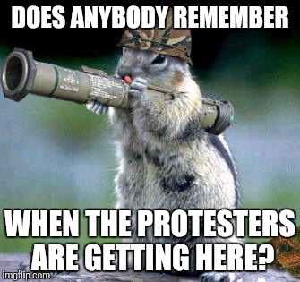 Bazooka Squirrel Meme | DOES ANYBODY REMEMBER; WHEN THE PROTESTERS ARE GETTING HERE? | image tagged in memes,bazooka squirrel | made w/ Imgflip meme maker