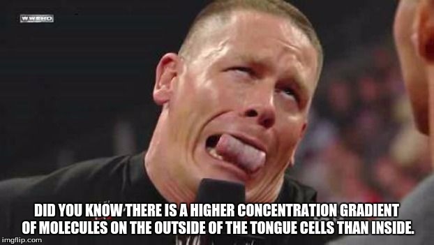 John Cena cringe-face | DID YOU KNOW THERE IS A HIGHER CONCENTRATION GRADIENT OF MOLECULES ON THE OUTSIDE OF THE TONGUE CELLS THAN INSIDE. | image tagged in john cena cringe-face | made w/ Imgflip meme maker