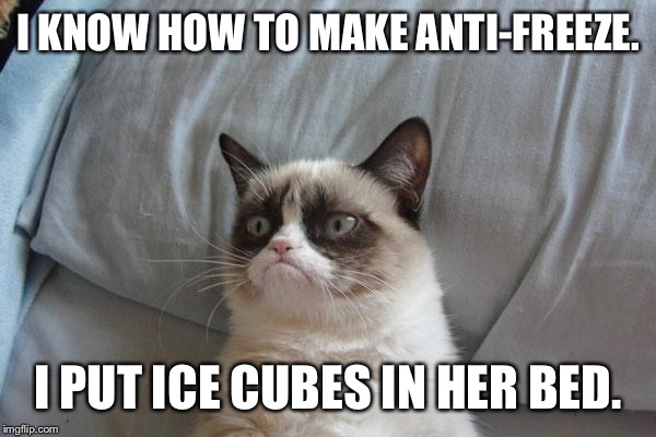 Grumpy Cat Bed Meme | I KNOW HOW TO MAKE ANTI-FREEZE. I PUT ICE CUBES IN HER BED. | image tagged in memes,grumpy cat bed,grumpy cat | made w/ Imgflip meme maker