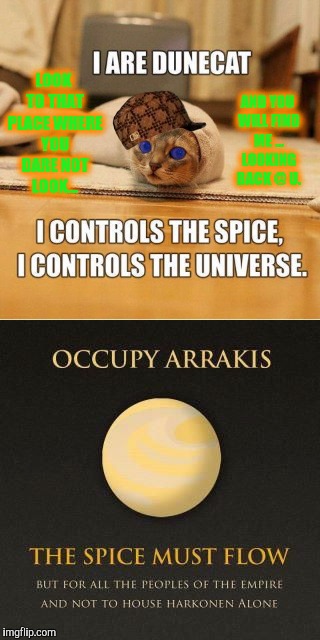 Harkonnens is EaZy to BeatZ. | LOOK TO THAT PLACE WHERE YOU DARE NOT LOOK... AND YOU WILL FIND ME ... LOOKING BACK @ U. | image tagged in arrakis desert planet,he who controls the spice  controls the imgflip,scumbag baby sandwormz,scumbag god,memes,dunecat | made w/ Imgflip meme maker