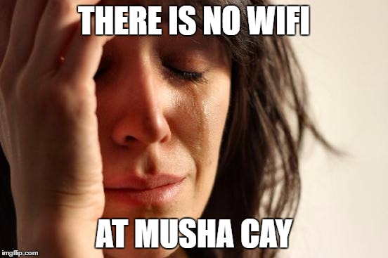 First World Problems Meme | THERE IS NO WIFI; AT MUSHA CAY | image tagged in memes,first world problems | made w/ Imgflip meme maker