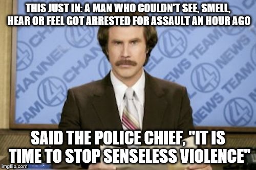 Senseless Violence | THIS JUST IN: A MAN WHO COULDN'T SEE, SMELL, HEAR OR FEEL GOT ARRESTED FOR ASSAULT AN HOUR AGO; SAID THE POLICE CHIEF, "IT IS TIME TO STOP SENSELESS VIOLENCE" | image tagged in memes,ron burgundy | made w/ Imgflip meme maker