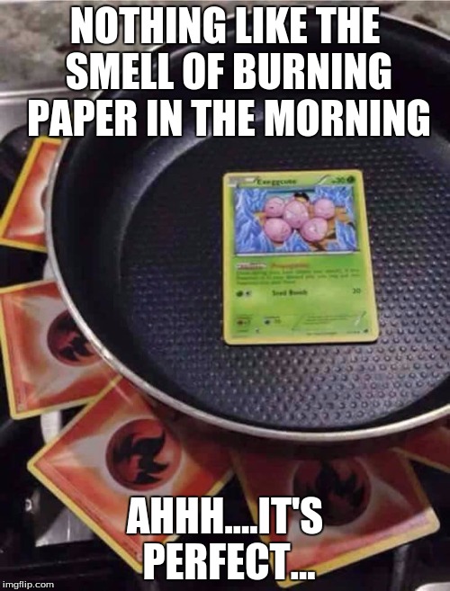 pokémon cooking | NOTHING LIKE THE SMELL OF BURNING PAPER IN THE MORNING; AHHH....IT'S PERFECT... | image tagged in pokmon cooking | made w/ Imgflip meme maker