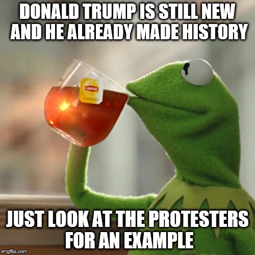 He Made History | DONALD TRUMP IS STILL NEW AND HE ALREADY MADE HISTORY; JUST LOOK AT THE PROTESTERS FOR AN EXAMPLE | image tagged in memes,but thats none of my business,kermit the frog | made w/ Imgflip meme maker