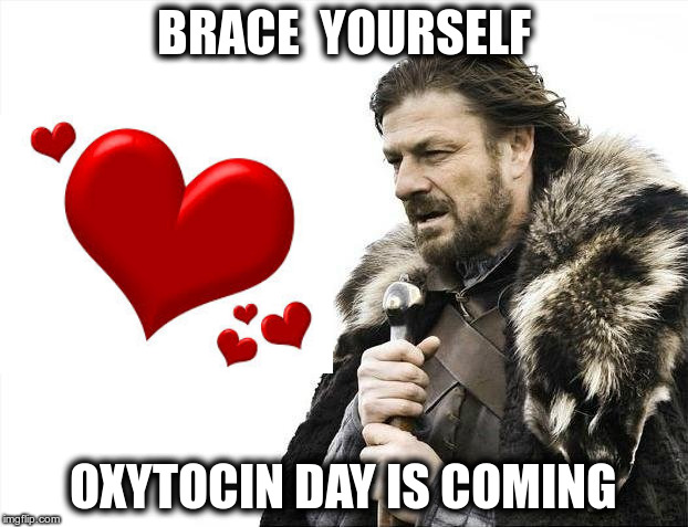 Hallmark Holiday | BRACE  YOURSELF; OXYTOCIN DAY IS COMING | image tagged in memes,brace yourselves x is coming | made w/ Imgflip meme maker