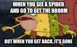 Spongegar |  WHEN YOU SEE A SPIDER AND GO TO GET THE BROOM; BUT WHEN YOU GET BACK, IT'S GONE | image tagged in memes,spongegar | made w/ Imgflip meme maker