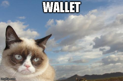 Grumpy Cat Sky Meme | WALLET | image tagged in memes,grumpy cat | made w/ Imgflip meme maker