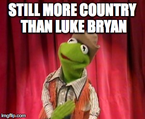 STILL MORE COUNTRY THAN LUKE BRYAN | image tagged in kermit the frog | made w/ Imgflip meme maker