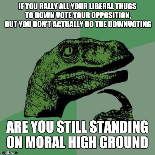 Philosoraptor | IF YOU RALLY ALL YOUR LIBERAL THUGS TO DOWN VOTE YOUR OPPOSITION, BUT YOU DON'T ACTUALLY DO THE DOWNVOTING; ARE YOU STILL STANDING ON MORAL HIGH GROUND | image tagged in memes,philosoraptor | made w/ Imgflip meme maker