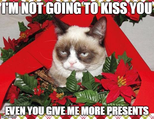 Grumpy Cat Mistletoe | I'M NOT GOING TO KISS YOU; EVEN YOU GIVE ME MORE PRESENTS | image tagged in memes,grumpy cat mistletoe,grumpy cat | made w/ Imgflip meme maker