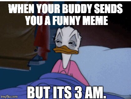 Restless nights | WHEN YOUR BUDDY SENDS YOU A FUNNY MEME; BUT ITS 3 AM. | image tagged in duck meme | made w/ Imgflip meme maker