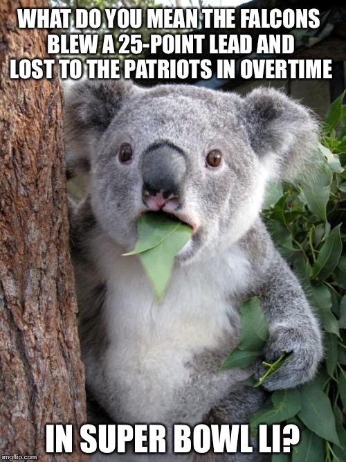 Koala Surprised By Falcons Losing Super Bowl To Patriots | WHAT DO YOU MEAN THE FALCONS BLEW A 25-POINT LEAD AND LOST TO THE PATRIOTS IN OVERTIME; IN SUPER BOWL LI? | image tagged in memes,surprised koala,atlanta falcons,super bowl 51,new england patriots | made w/ Imgflip meme maker