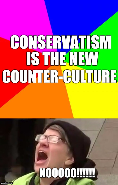 Time to reject the manufactured depraved fake culture forced on us by hollywood libtards | CONSERVATISM IS THE NEW; COUNTER-CULTURE; NOOOOO!!!!!! | image tagged in liberals,liberal vs conservative,conservatives,libtards,trump | made w/ Imgflip meme maker