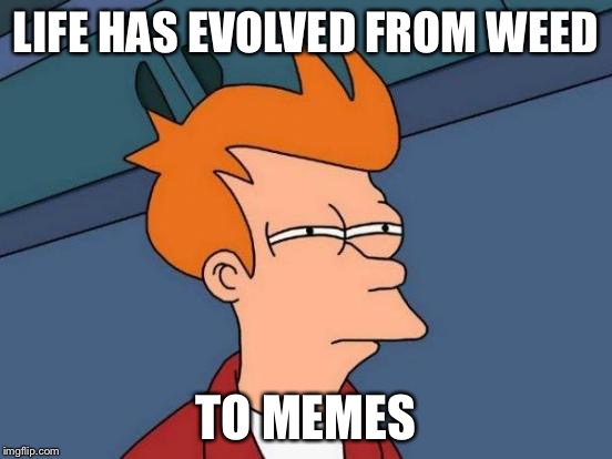 Futurama Fry | LIFE HAS EVOLVED FROM WEED; TO MEMES | image tagged in memes,futurama fry | made w/ Imgflip meme maker