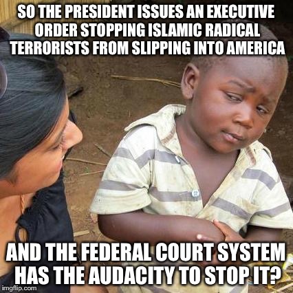 Third World Skeptical Kid | SO THE PRESIDENT ISSUES AN EXECUTIVE ORDER STOPPING ISLAMIC RADICAL TERRORISTS FROM SLIPPING INTO AMERICA; AND THE FEDERAL COURT SYSTEM HAS THE AUDACITY TO STOP IT? | image tagged in memes,third world skeptical kid | made w/ Imgflip meme maker