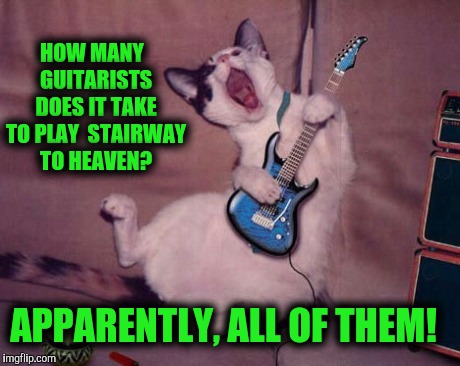 Do you know one that can't? | HOW MANY
 GUITARISTS DOES IT TAKE TO PLAY  STAIRWAY TO HEAVEN? APPARENTLY, ALL OF THEM! | image tagged in guitar cat,stairway to heaven,guitar joke | made w/ Imgflip meme maker