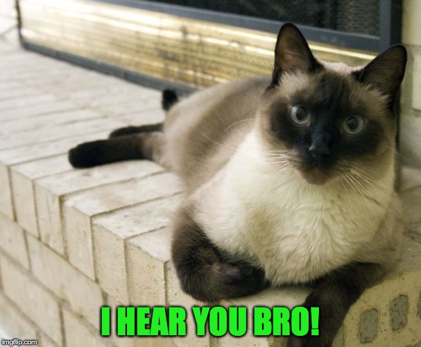 I HEAR YOU BRO! | made w/ Imgflip meme maker