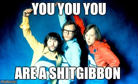 Gibbon | YOU YOU YOU; ARE A SHITGIBBON | image tagged in gibbon | made w/ Imgflip meme maker