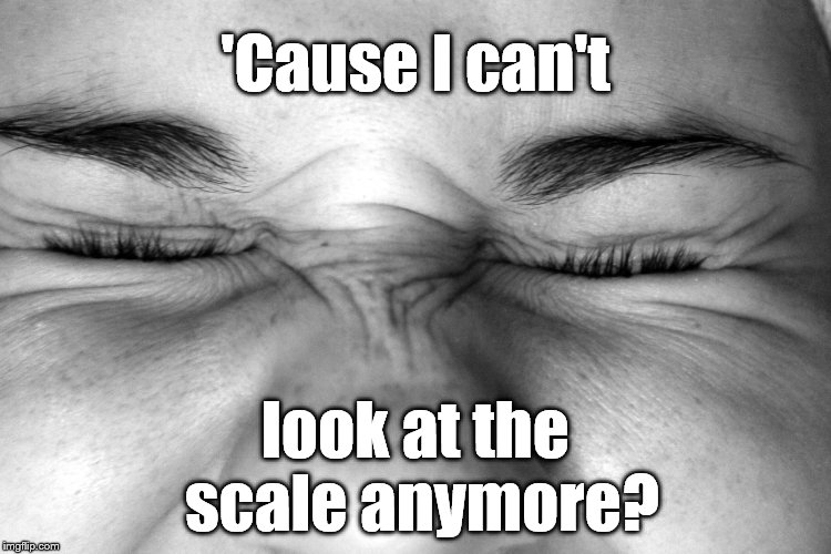 Ewww, I can't watch. | 'Cause I can't look at the scale anymore? | image tagged in ewww i can't watch. | made w/ Imgflip meme maker