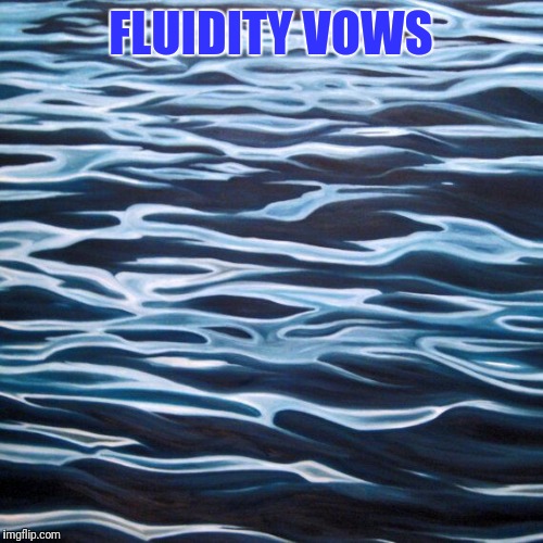 FLUIDITY VOWS | made w/ Imgflip meme maker