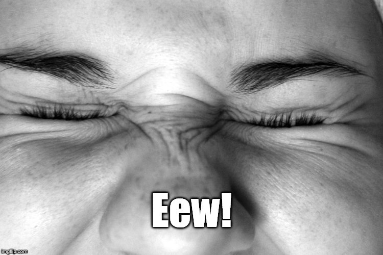 Ewww, I can't watch. | Eew! | image tagged in ewww i can't watch. | made w/ Imgflip meme maker