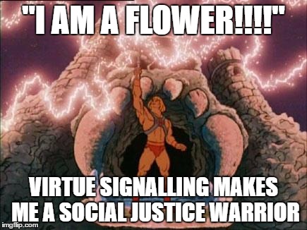 he-man | "I AM A FLOWER!!!!"; VIRTUE SIGNALLING MAKES ME A SOCIAL JUSTICE WARRIOR | image tagged in he-man | made w/ Imgflip meme maker