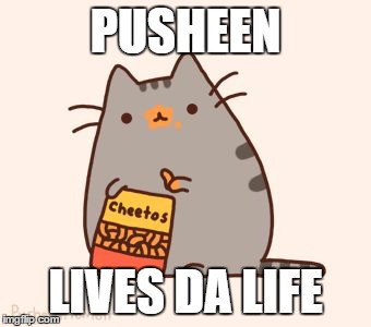 Are you allowed to make Weekends? Okay! PUSHEEN WEEKEND! | PUSHEEN; LIVES DA LIFE | image tagged in pusheen stole the cheetos | made w/ Imgflip meme maker
