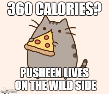 PUSHEEN WEEKEND. That I made up. ;( | 360 CALORIES? PUSHEEN LIVES ON THE WILD SIDE | image tagged in pusheen eating pizza | made w/ Imgflip meme maker