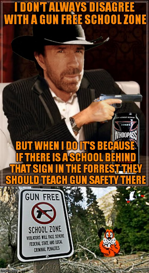 I think maybe 10 guy got a job hanging signs... | I DON'T ALWAYS DISAGREE WITH A GUN FREE SCHOOL ZONE; BUT WHEN I DO IT'S BECAUSE IF THERE IS A SCHOOL BEHIND THAT SIGN IN THE FORREST THEY SHOULD TEACH GUN SAFETY THERE | image tagged in most interesting chuck norris,funny signs,signs,old school | made w/ Imgflip meme maker