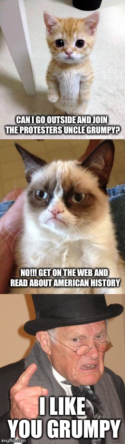 CAN I GO OUTSIDE AND JOIN THE PROTESTERS UNCLE GRUMPY? NO!!! GET ON THE WEB AND READ ABOUT AMERICAN HISTORY; I LIKE YOU GRUMPY | image tagged in grumpy cat,back to the future,cute cat | made w/ Imgflip meme maker