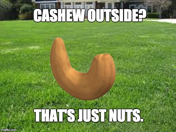 How 'bout dat. | CASHEW OUTSIDE? THAT'S JUST NUTS. | image tagged in pop culture | made w/ Imgflip meme maker